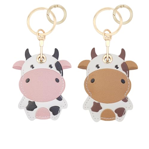 Amazon.com: XEEWEN 2 Pack Hidden Keychain Holder for Airtag - Cute